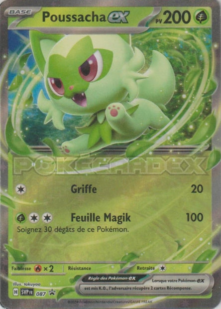 SVP087 - Poussacha ex - PROMO