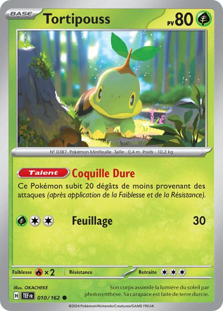 010/162 - Tortipouss - EV5 Forces Temporelles