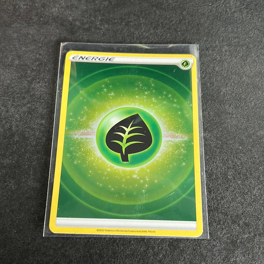 Energie Plante Reverse - EB12.5 Zénith Suprême