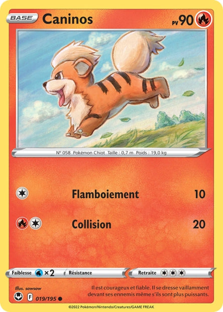 019/195 - Caninos - EB12 Tempête Argentée