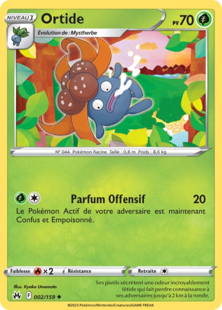 002/159 - Ortide - EB12.5 Zénith Suprême