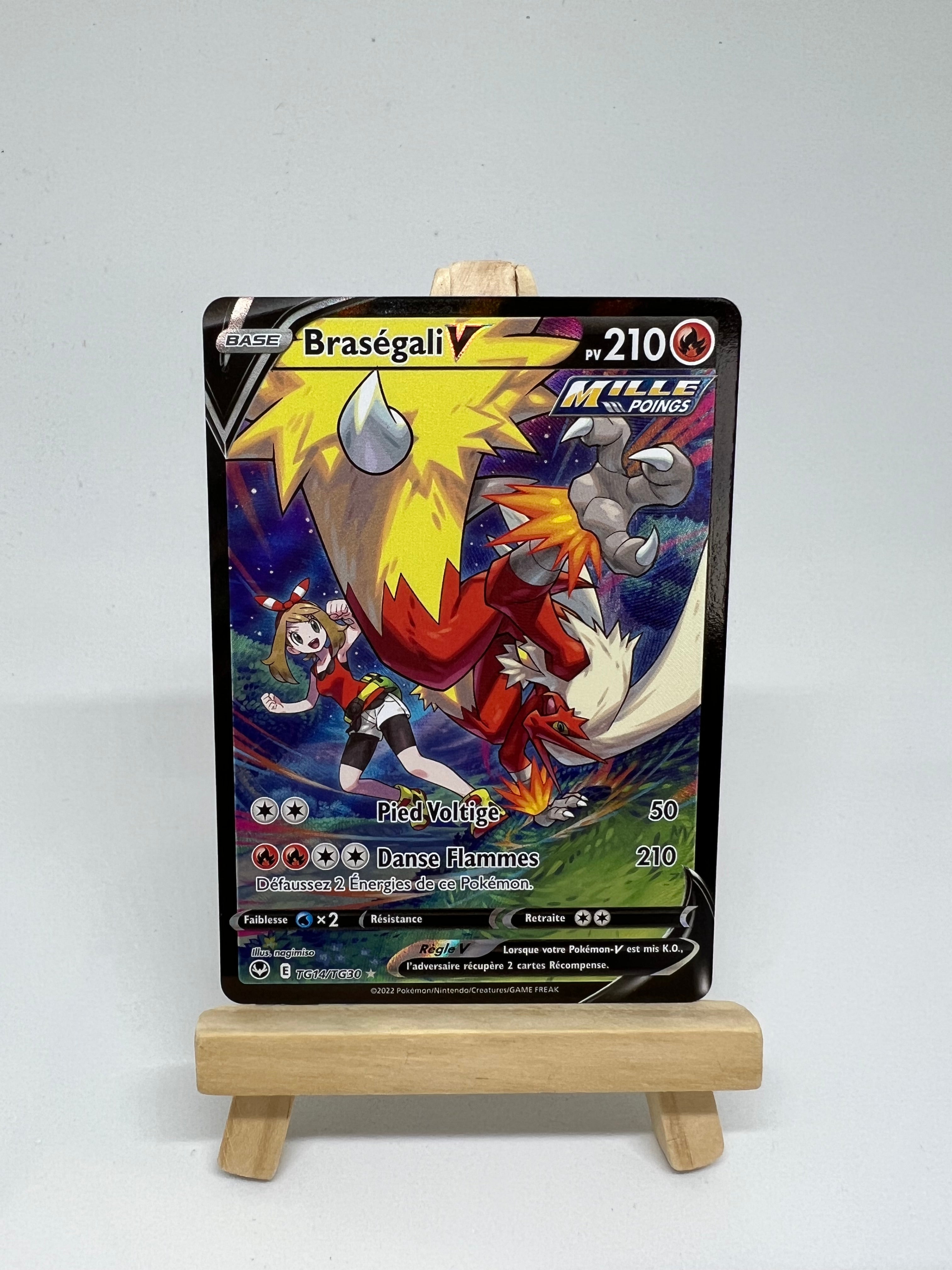 TG14/30 - Braségali V - EB12 Tempête argentée