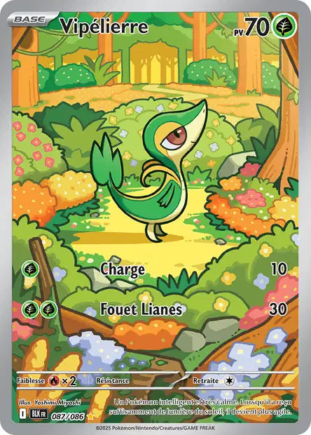 087/086 - Vipelierre - EV10.5 Foudre Noire