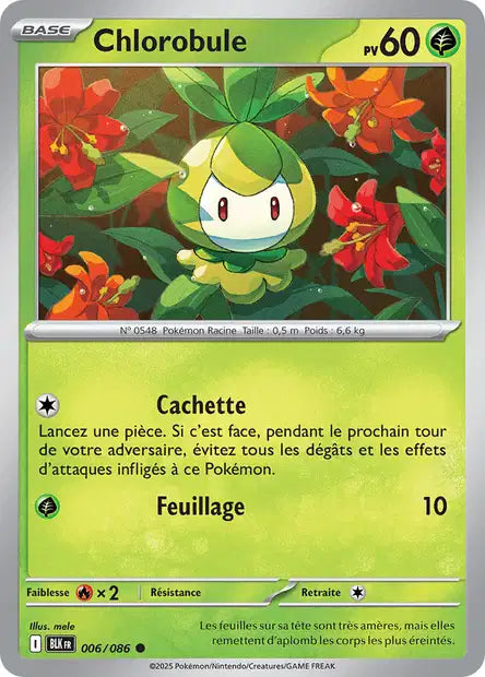 006/86 - Chlorobule - EV10.5 Foudre Noire