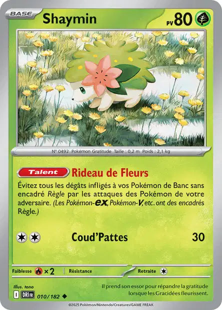 010/182 - Shaymin - EV10 Rivalités Destinées