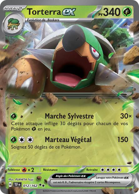 012/162 - Torterra ex - EV5 Forces Temporelles