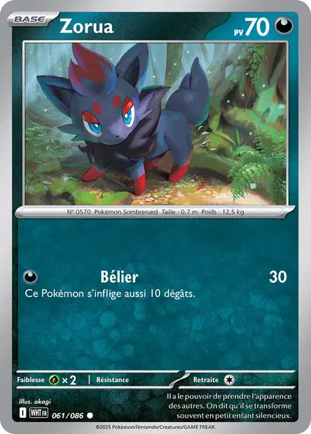 061/086 - Zorua - EV10.5 Flamme Blanche